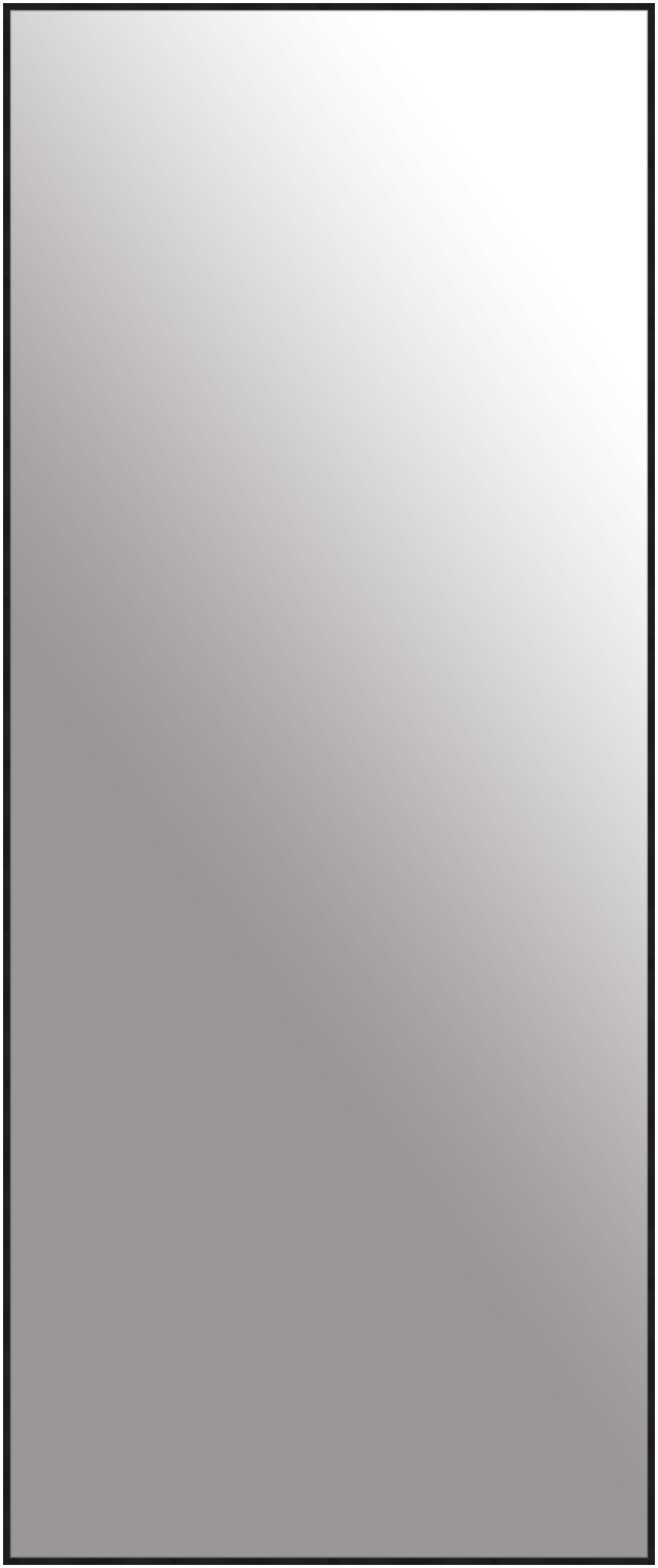 nielsen HOME Wandspiegel Alpha, Eloxal Schwarz matt, Aluminium, ca. 70x170 cm